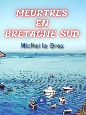 cover image of Meurtres en Bretagne Sud